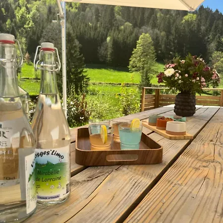 Chalet Le Petit Paradis, Spa-sauna And Gym *