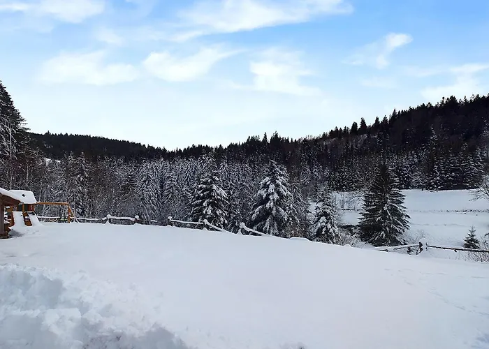 Le Petit Paradis, Spa-sauna And Gym Chalet